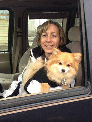 Sit Stay Dog pick-up drop-off