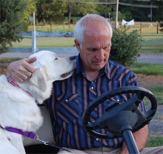 Sit Stay Puppy Socialization