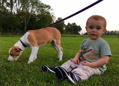 Sit Stay Newtow PA Boarding Daycare