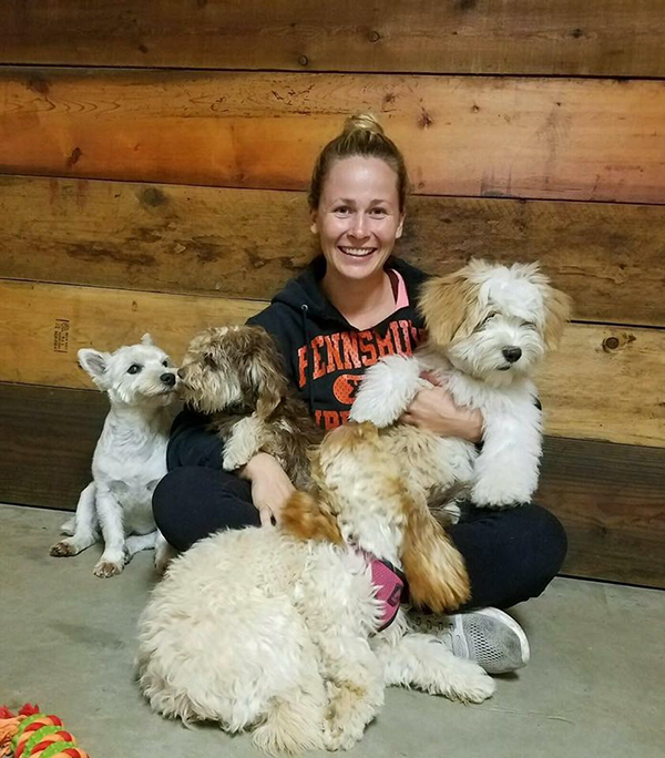 Sit Stay Newtown Dog Day Care and Dog Boarding