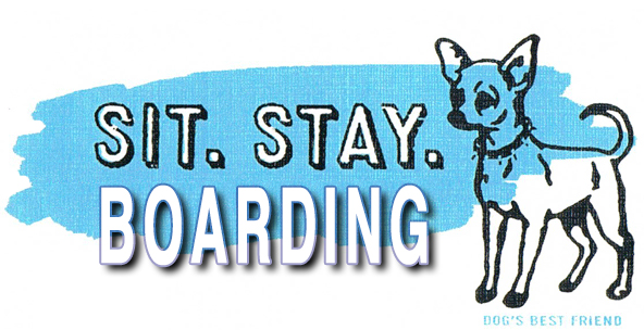 Sit Stay Newtown Boarding Info