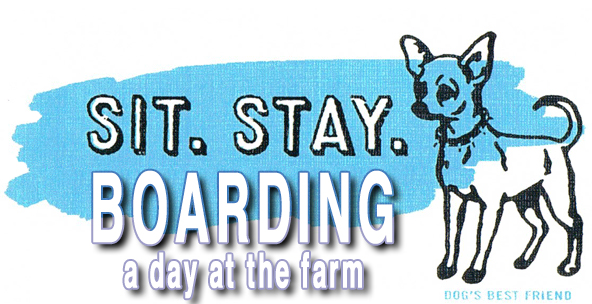 Sit Stay Newtown Boarding - A Day on the Farm