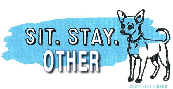 Sit Stay Newtown Boarding Info