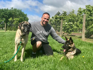 Sit Stay Newtown Trainer